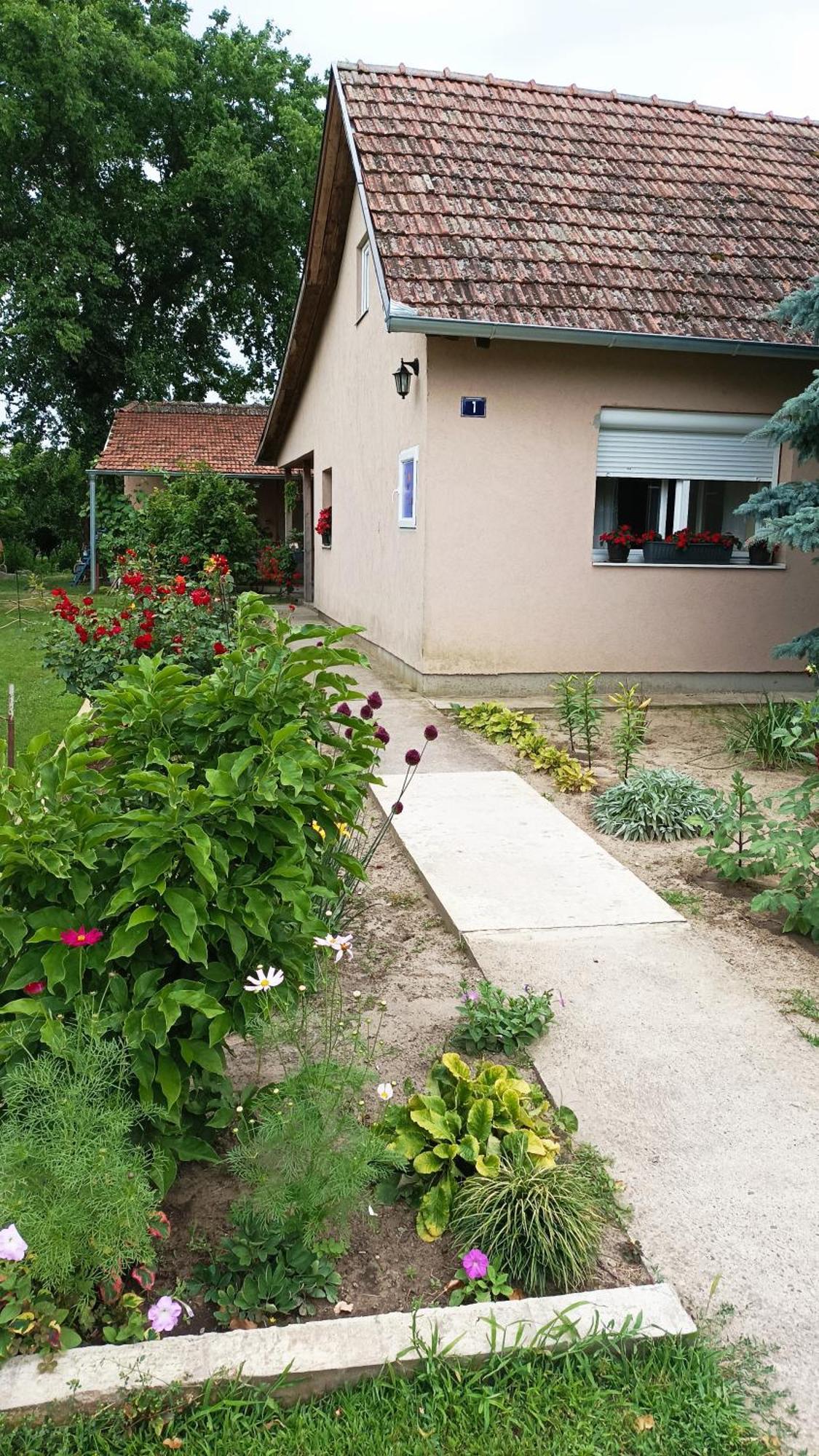 수보티차 Sobe Masa 게스트하우스 외부 사진